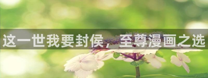 漫画之家2：这一世我要封侯，至尊漫画之选