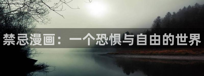 漫画之家怎么用