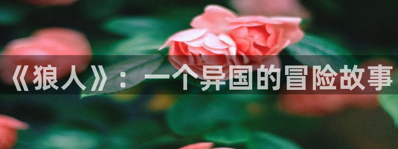 漫画之家app官网