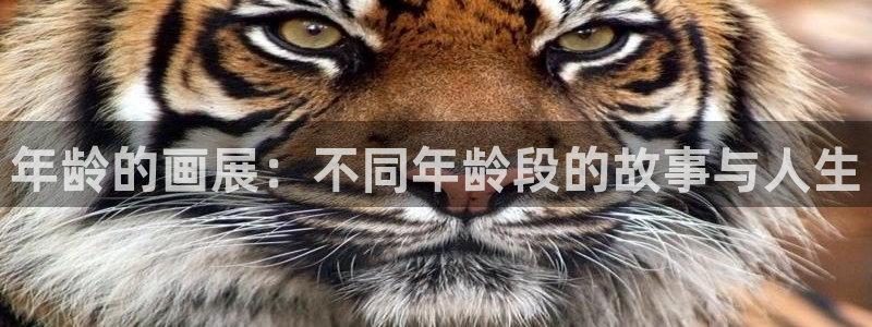 漫画之家官网入口